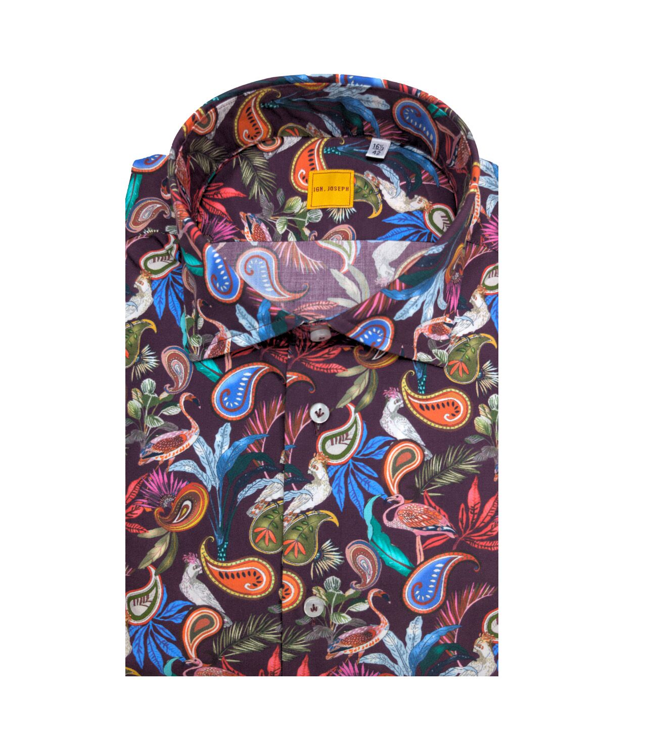 IGNJoseph_Haway W24464_01