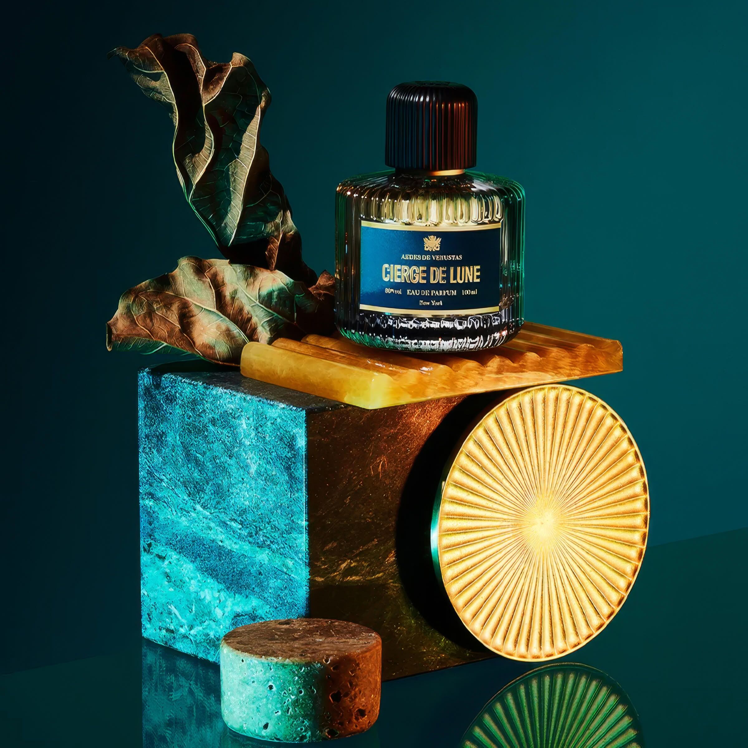 Aedes de Venustas AEDESCIERGEDELUNESTILLLIFE