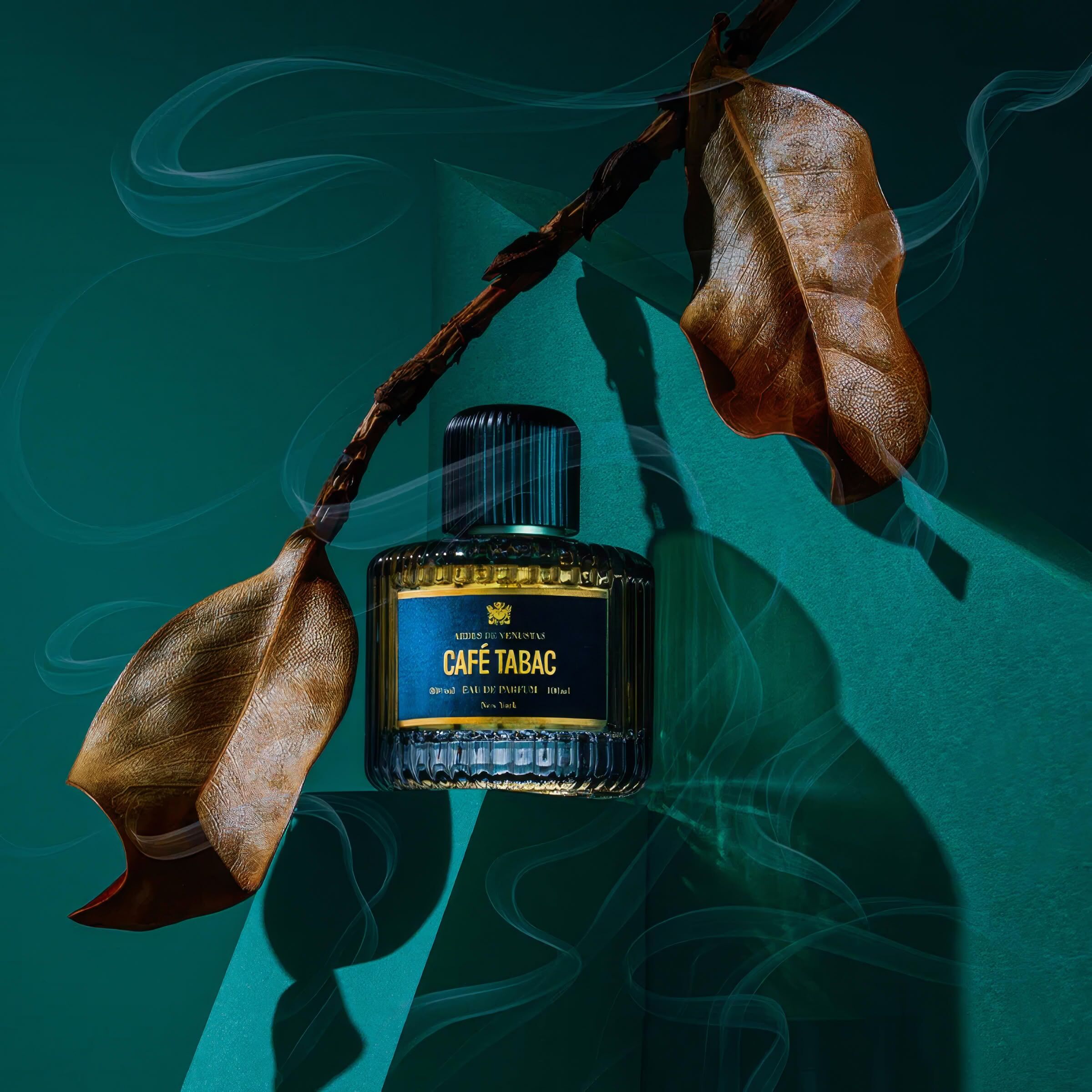 Aedes de Venustas cafetabacstilllife