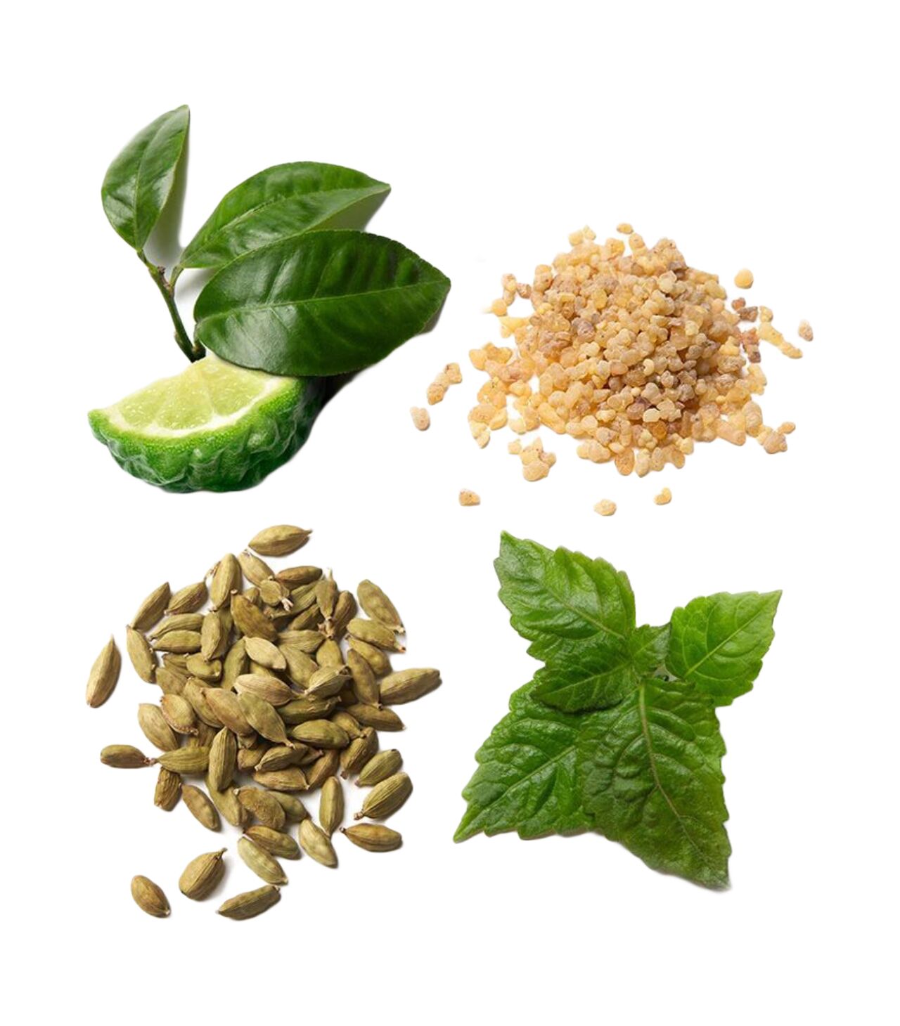 7640171194332-detail Brioni Eau de Parfum Essentiel 100 ml